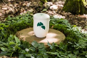Biologisch abbaubare FriedWald-Urne weiß mit grünen Gingkoblättern Biologisch abbaubare FriedWald-Urne weiß mit grünen Gingkoblättern
