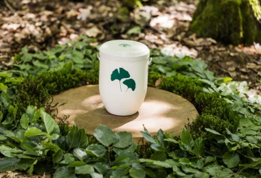 Naturbestattung: Urne in einem Friedwald - Foto: FriedWald GmbH
